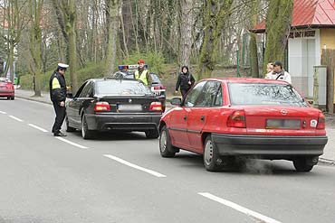 Sprawdzaj trzewo w kilka sekund