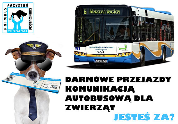 Autobusem po winoujciu z ukochanym pupilem ju bez biletu! 