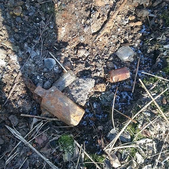 Co kryje Park Zdrojowy? - zwykłe śmieci czy cenne znaleziska?