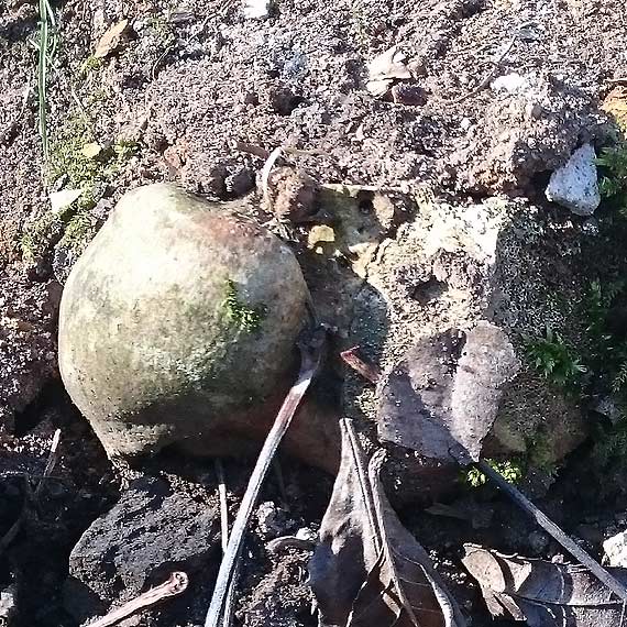 Co kryje Park Zdrojowy? - zwykłe śmieci czy cenne znaleziska?