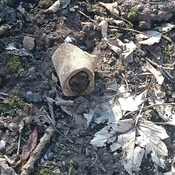 Co kryje Park Zdrojowy? - zwykłe śmieci czy cenne znaleziska?