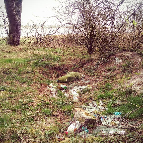 Spacer nad Mulnik - Czytelnik: Przechodzi wszelkie wyobraenia co tzw. homo sapiens moe zrobi z natur