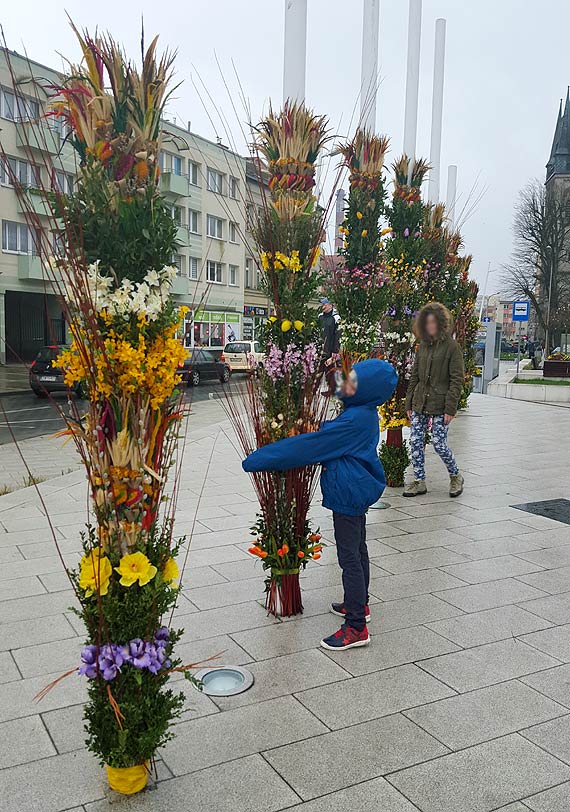 Świnoujscy urzędnicy mają talent. Zające i palmy to ich pomysł! Brawo Wy!