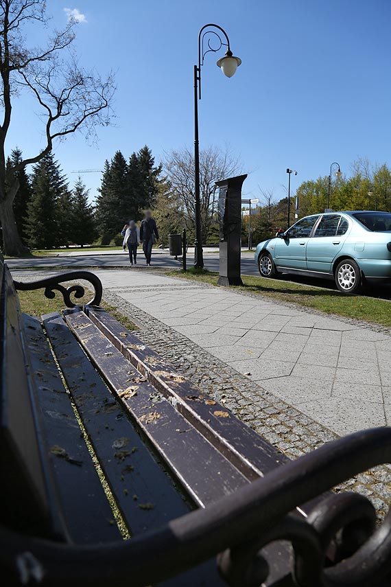 awki przy promenadzie atrakcyjne dla ptakw. Dla spacerowiczw wrcz przeciwnie