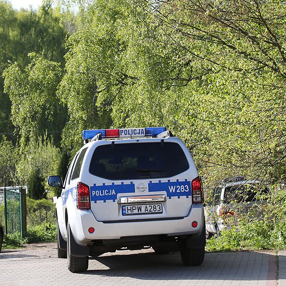 Ko na gigancie biega po ulicach! Interweniowaa policja