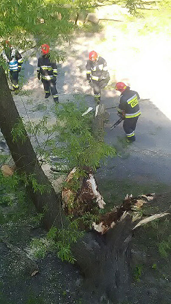 Niebezpiecznie na Steyera. Na ulic runy dwa konary