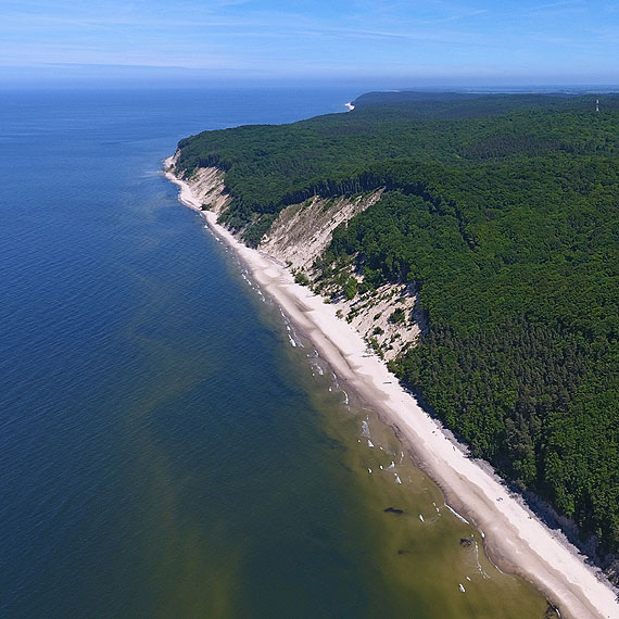 Batyk wyrzuca na brzeg martwe foki. Na ssaki natknito si te na plaach w Midzyzdrojach, Dziwnwku i ukcinie