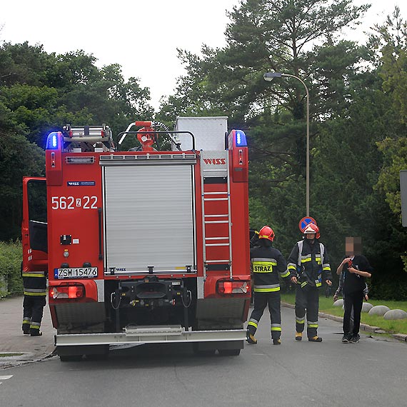 Ranny ptak postawi na nogi 1 zastp straakw