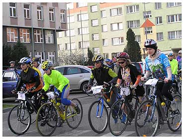 Pucharu Polski w Maratonach Szosowych