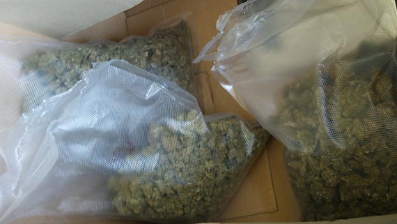  Policjanci zabezpieczyli ponad 6,5 kg narkotykw, zatrzymani s w areszcie 