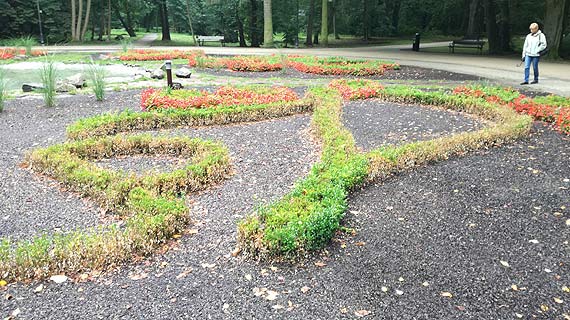 Park Zdrojowy ju nie tak kwitncy? Bukszpany - wczeniej zachwycay, teraz strasz