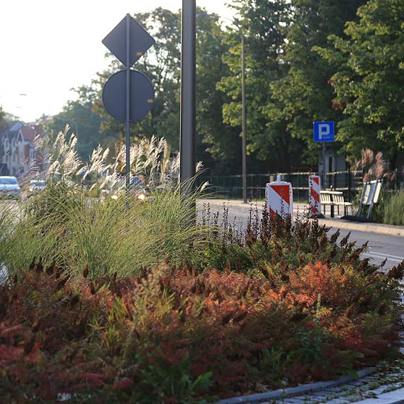 Przez wysok traw kierowcy maj problem z widocznoci