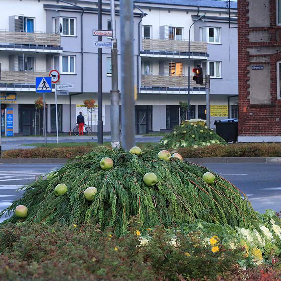 Miasto stawia na spoywcze dekoracje? - bya kapusta i czosnek, teraz kolej na jabka