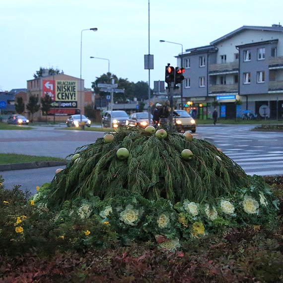 Prawdziwa gratka dla amatorów jesiennych jabłek