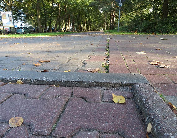 Krawniki przy ciekach rowerowych ju nie s problemem. Czytelnik przypomina wadzom o jeszcze jednym