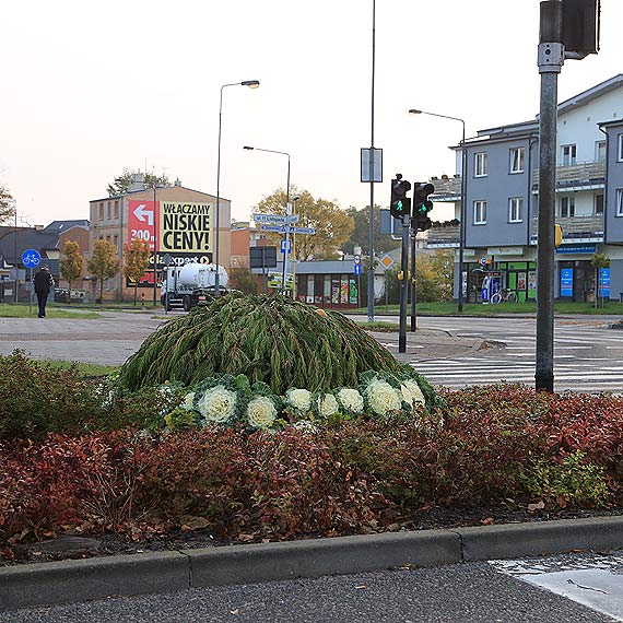Dziki, bezdomni czy kto inny? Kogo skusiy jabkowe stroiki?  