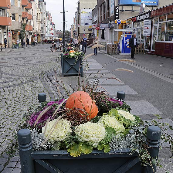 Miasto gotowe na Halloween! Deptak na Bohaterw Wrzenia zdobi dynie!