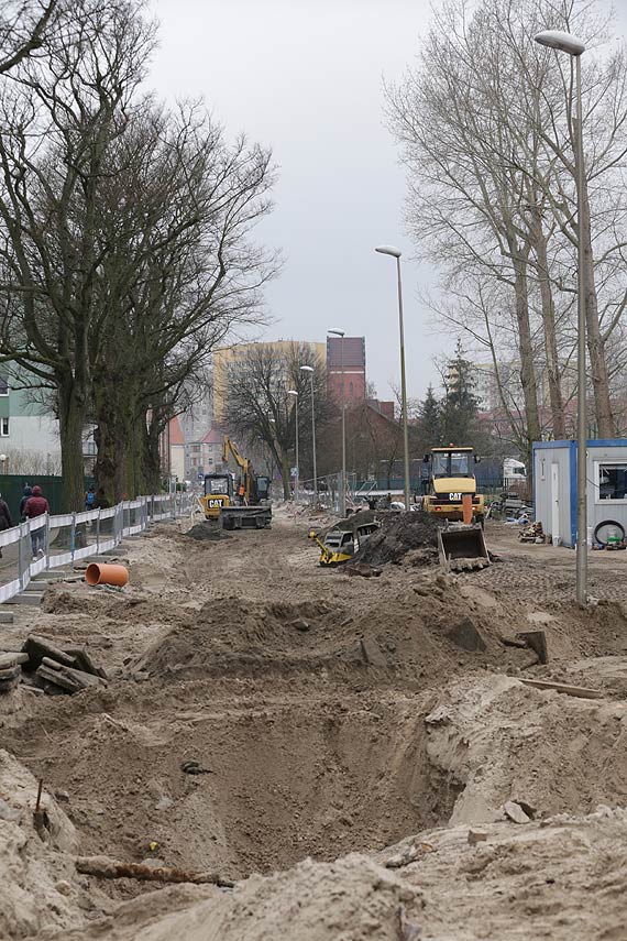 Ulica Kociuszki bez drzew? Planowana jest wycinka