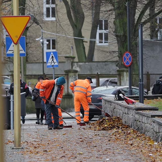 Zalegaj na ulicach i chodnikach. Gdzie jesienne licie trafiaj pniej?