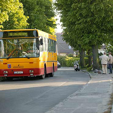 Motor, autobus i drzewo…