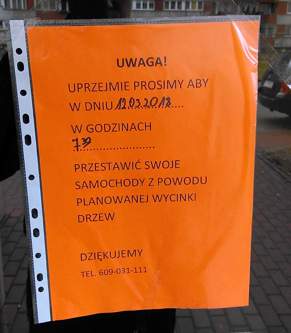 Czytelnik: „Jako lokalny patriota z wielk przykroci obserwuj niepohamowan wycink drzew w naszym miecie”