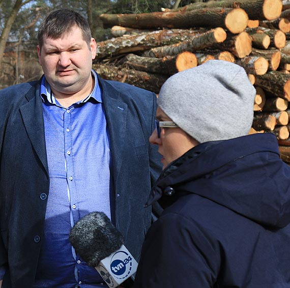 Istniej due rozbienoci midzy wersj Urzdu Miasta a faktyczn iloci wycitych drzew. Zobacz film!