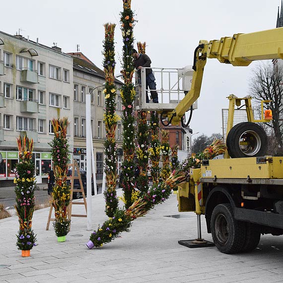 Wielkanocne palmy na Placu Wolnoci