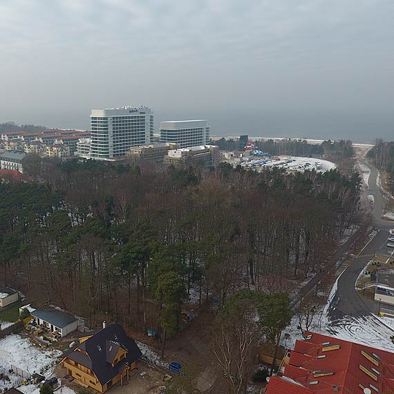 Bdzie kolejna wycinka drzew? Miasto: to tylko inwentaryzacja 
