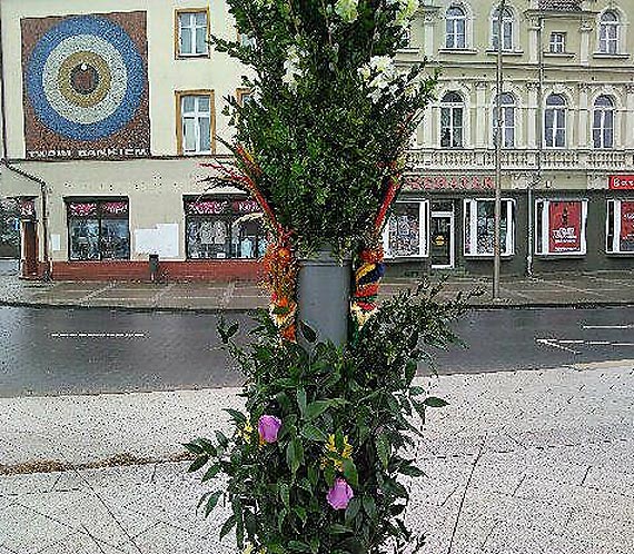 Palma na Placu Wolnoci.... dugo nie postaa