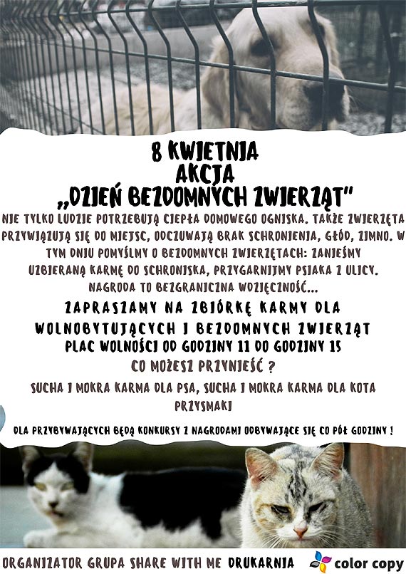 8 kwietnia Dniem Bezdomnych Zwierzt - moemy wspomc akcj!