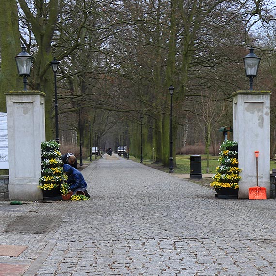 Piękne donice pełne kwiatów stanęły u wejścia do Parku Zdrojowego