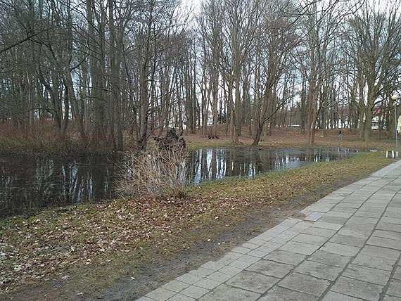 Czytelnik proponuje - pozby si mokrade i tym samym plagi komarw