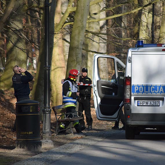 Zasabnicie, poar traw, wiszcy konar - do jakich przypadkw wzywano ostatnio straakw?