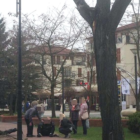 Zahaczona przez ciężarówkę gałąź uderzyła rowerzystę. Mężczyzna został odwieziony karetką