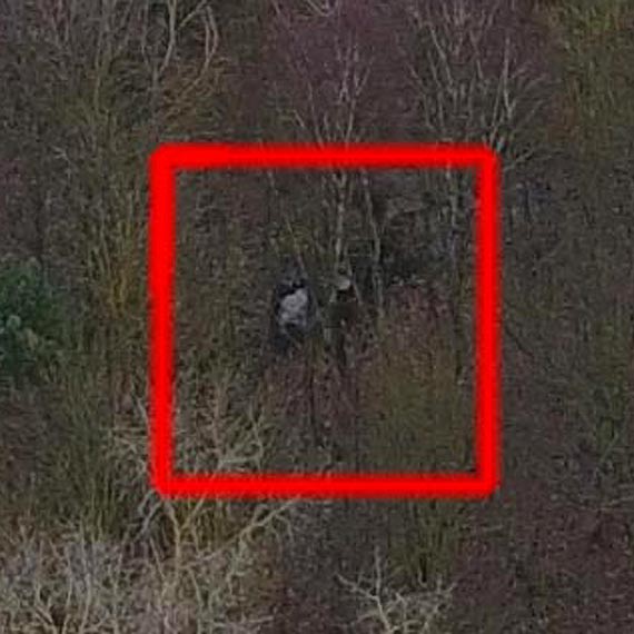 Ukrywaa si przez kilka lat a teraz zostaa odnaleziona? Czy Czupakabra bdzie szukaa odwetu?