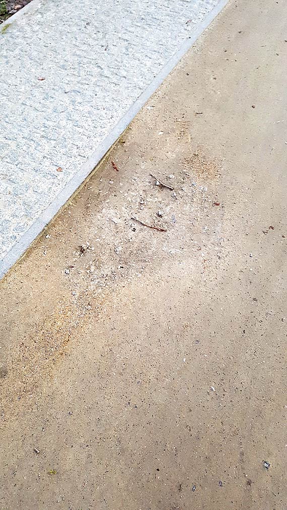 Aleje w Parku Zdrojowym s pene dziur. Zdaniem Czytelnika, nie od wczoraj...