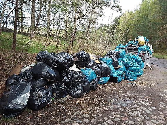 Wielkie sprztanie w lasach! Stare opony, plastikowe butelki i odpady budowlane - na to wszystko natknli si lenicy