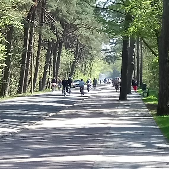 Rowerzystom nie wystarczaj ju cieki? - zajmuj jezdni!