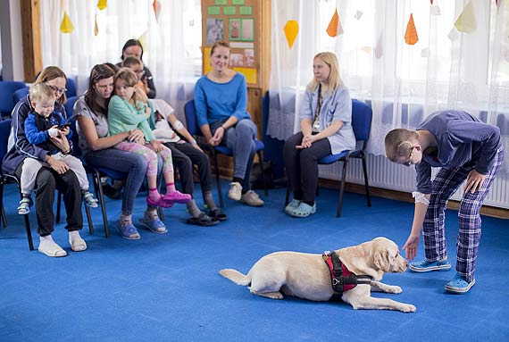 Dzi Oglnopolski Dzie Dogoterapii Mars Polska i Fundacja „Dr Clown” podwajaj liczb szpitali, wktrych organizuj dla dzieci zajcia w towarzystwie psw