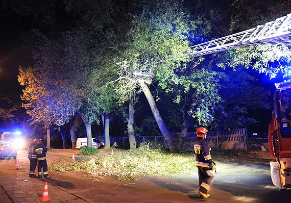 Straacy usunli nisko zwisajce gazie