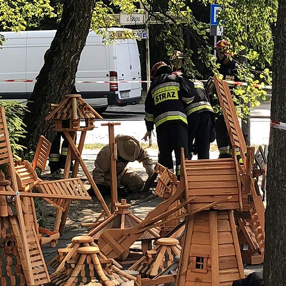 Osy zaatakoway rynek i bdcych tam ludzi!