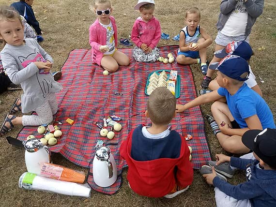 Warszw organizuje biao-czerwone klomby na stulecie Niepodlegoci Polski