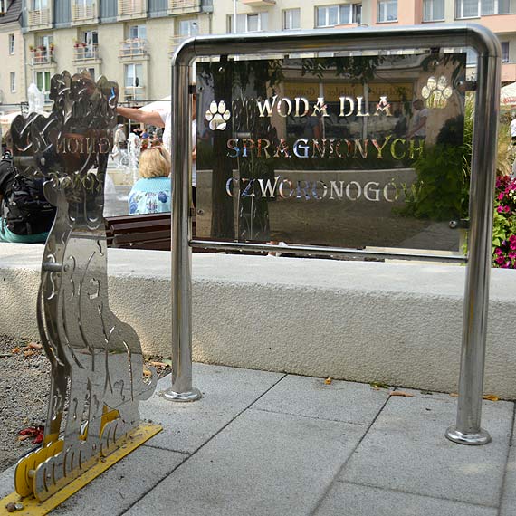 Poidełka dla psów kosztowały 5200 zł netto