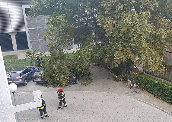 Ga uszkodzia zaparkowany samochd