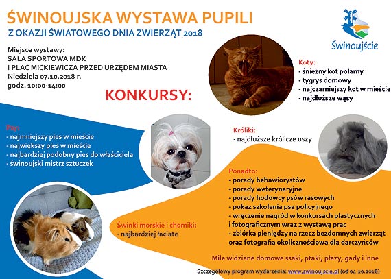 Wanie teraz! Poka wszystkim swojego zwierzaka!
