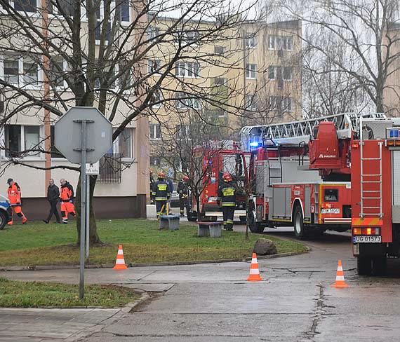 Poar mieci w mieszkaniu postawi na nogi wszystkie suby