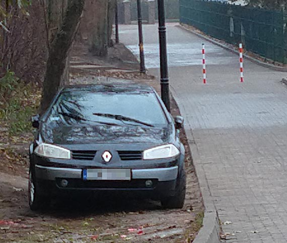 Czytelnik o kierowcach parkujcych na trawnikach