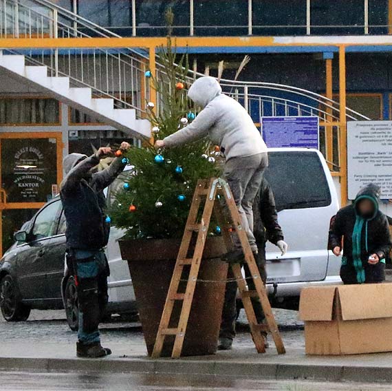 Patgardens zadbao o witeczne ozdoby donic! Jak oceniacie starania firmy?