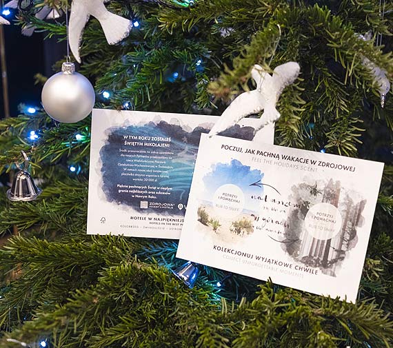 witeczna akcja Zdrojowej Hotels na rzecz winoujcia
