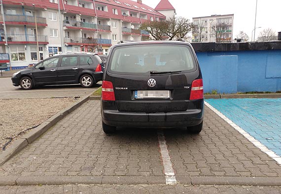 Czytelnik: Dwa miejsca dla mistrza